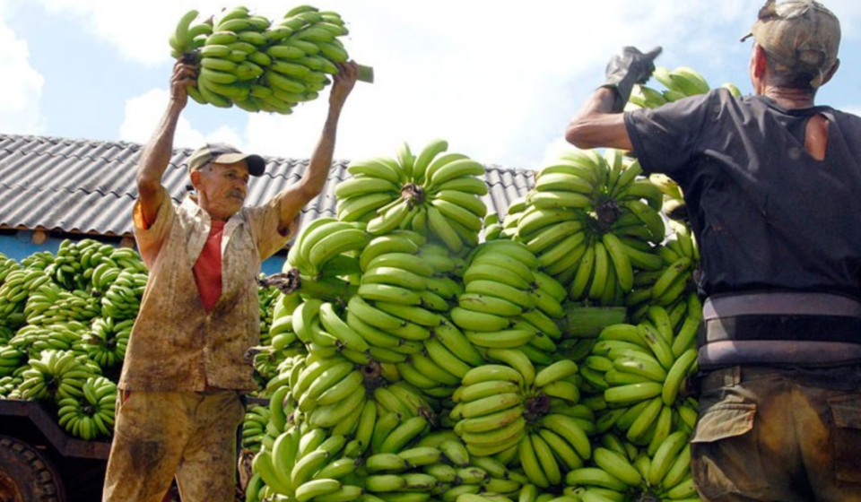 Deudas: La prensa oficialista se preocupa por los impagos del Gobierno a los agricultores