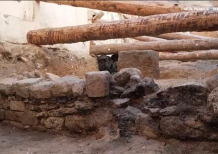 Discovery of ancient wall could confirm origins of Paris