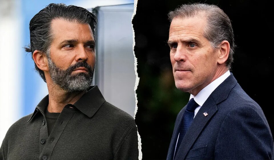Donald Trump Jr, Hunter Biden face Senate corruption probe push