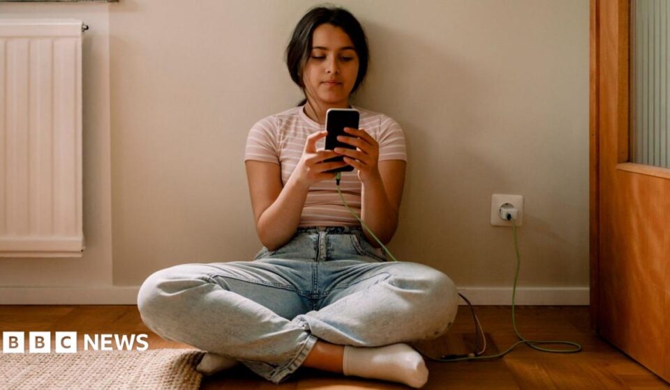 EU announces plan to restrict social media access for children