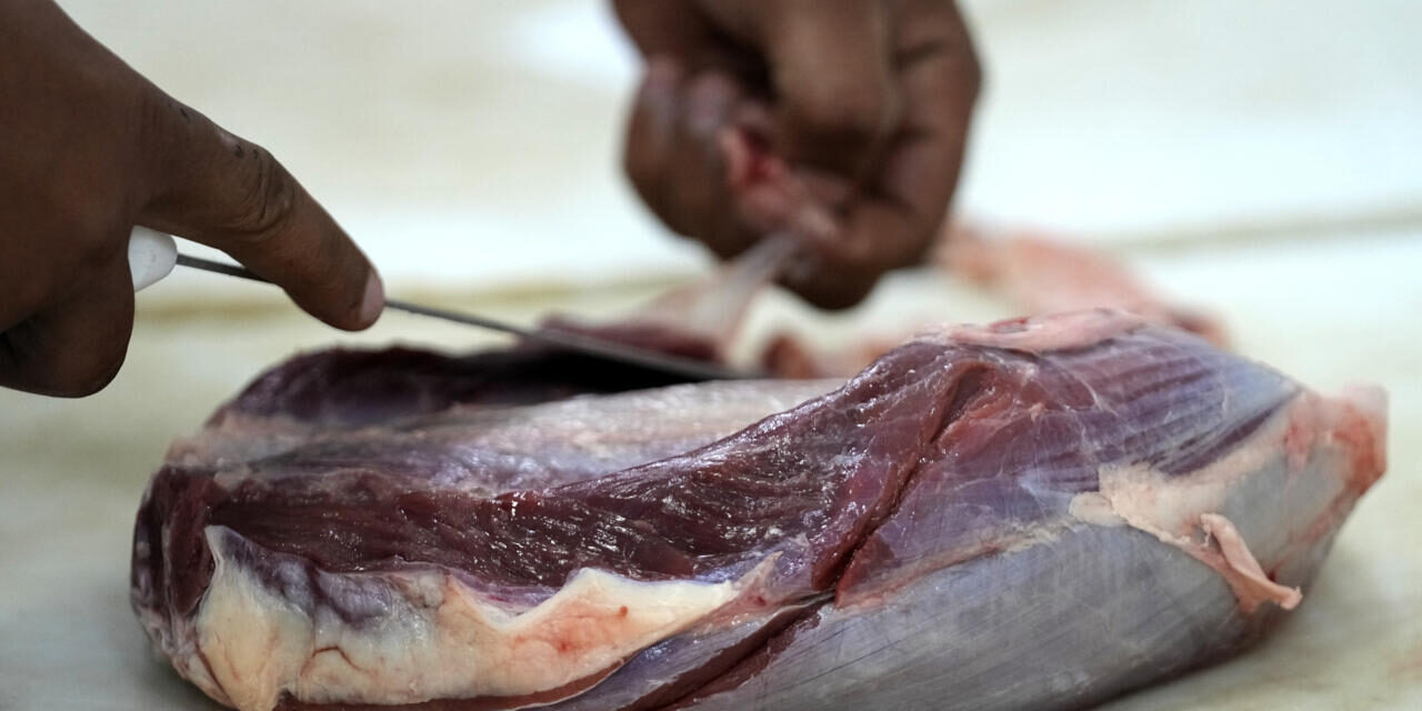 EU suspends Brazilian meat imports over antibiotic compliance concerns