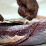 EU suspends Brazilian meat imports over antibiotic compliance concerns