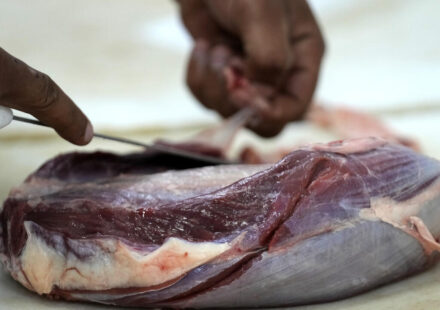 EU suspends Brazilian meat imports over antibiotic compliance concerns