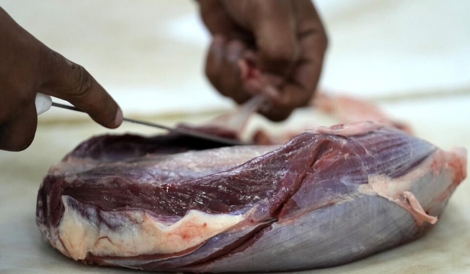 EU suspends Brazilian meat imports over antibiotic compliance concerns