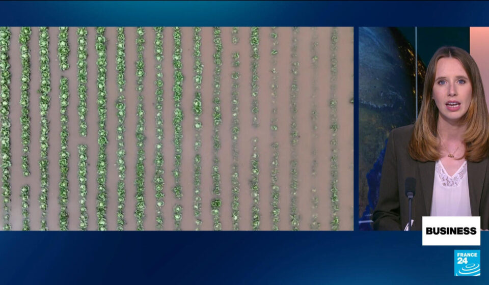 El Niño weather phenomenon set to deliver massive blow to global economy