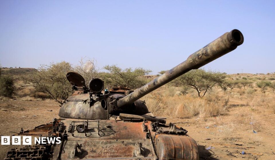 Ethiopia conflict: Seven armed groups form alliance against Abiy Ahmed