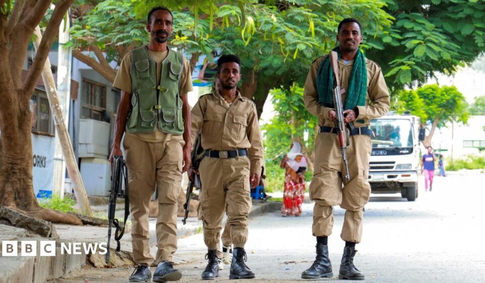 Ethiopia fighting: Are Tigray's TPLF forces and the army heading back to war?