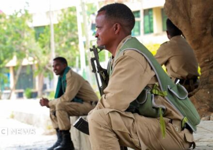 Ethiopia's army says it has repelled TPLF attacks in first comment on fresh Tigray fighting