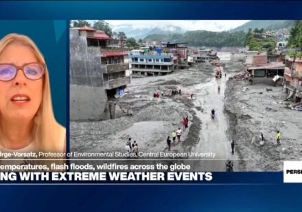 Expert warns of 'hotter summers, more wildfires, more drought and more floods' - Perspective