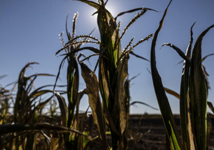 France announces €1 billion aid for farmers after climate-hit summer