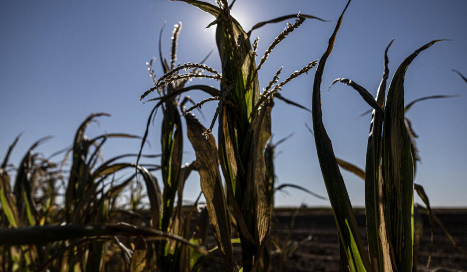 France announces €1 billion aid for farmers after climate-hit summer