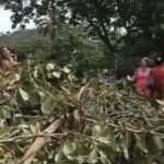 Holguín: Las protestas de las mujeres en Mayarí tuvieron éxito