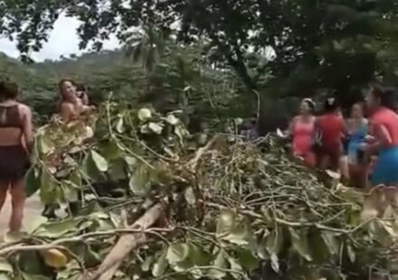 Holguín: Las protestas de las mujeres en Mayarí tuvieron éxito