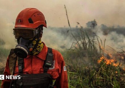 Indonesia fires: Toxic haze spreads across South East Asia amid 'super' El Niño