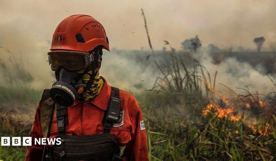 Indonesia fires: Toxic haze spreads across South East Asia amid 'super' El Niño