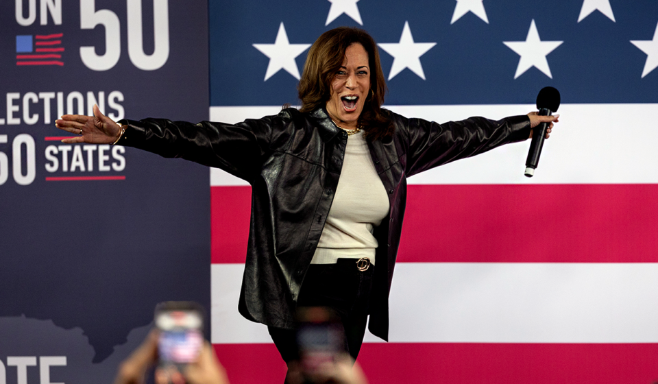 Kamala Harris polled last among 2024 Dem replacements, book claims
