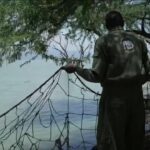 Kenya: Crocodiles pushed towards homes by rising lakes