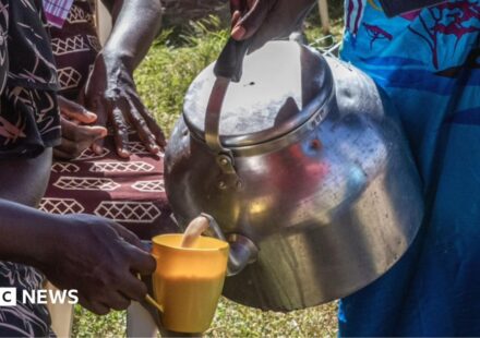 Kenya's milk shortage: Chai lovers unhappy as cows run dry