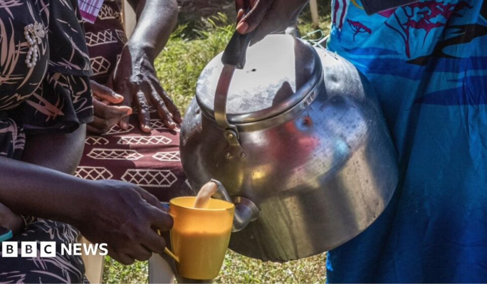 Kenya's milk shortage: Chai lovers unhappy as cows run dry