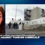Lack of 'enforcement of EU laws': Consumer products contain 'illegal levels of restricted chemicals'