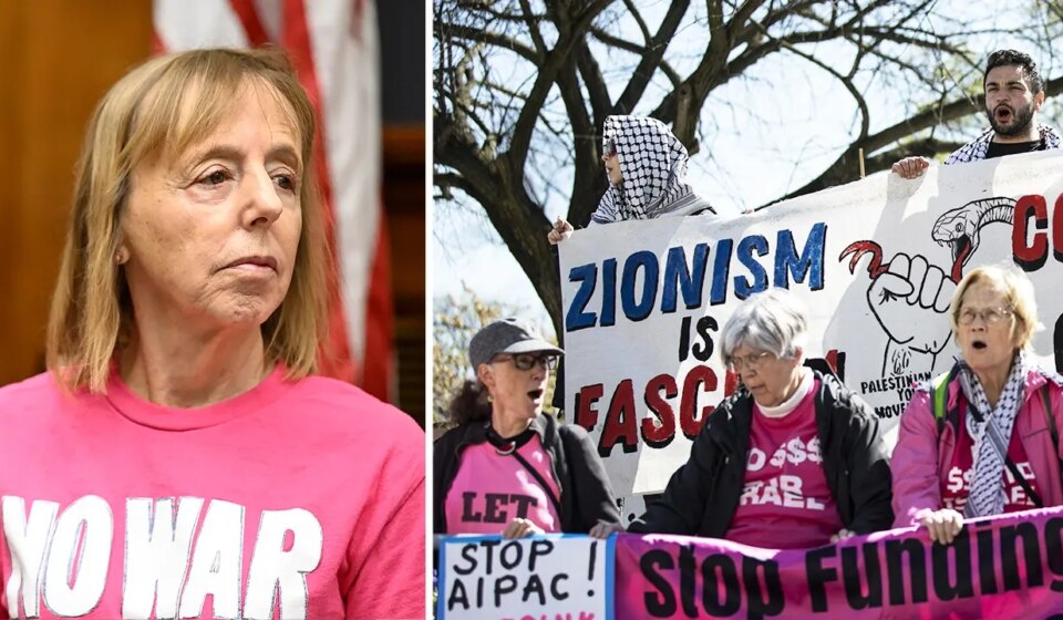 Medea Benjamin's family foundation gave $3.2M to CodePink since 2009