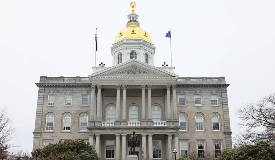 New Hampshire businessman/woman wins primary to try and flip House seat