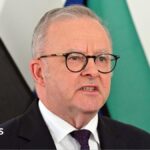 OpenAI agent 'infiltrated' Australian government website, PM says