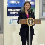Rep Maggie Goodlander wins NH Democratic primary for House seat