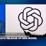 Safeguards 'build a moat' around US AI firms, prevent open-source models from advancing, expert says - A propos