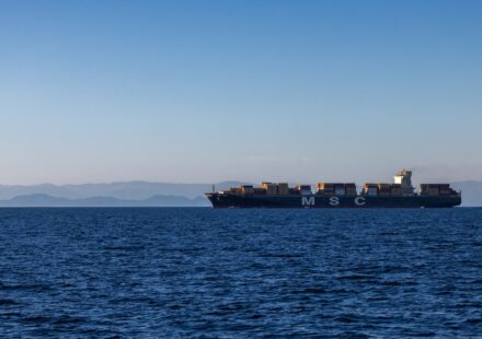Shipping stocks hit decade highs as Hormuz disruption grinds on