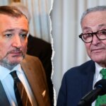Ted Cruz says Schumer is terrified of the far-left progressive wave