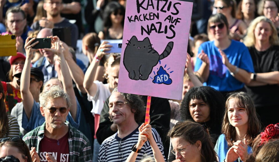 Tens of thousands protest against far-right AfD party in Germany