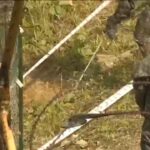 Tensions mount as South Korea demands apology from North over mine blast