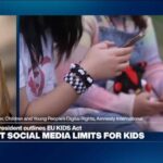 'The harms have come to outweigh the benefits' of social media, researcher says