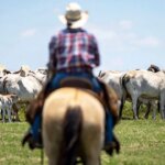 Trump's beef imports draw GOP backlash from ranchers in key states