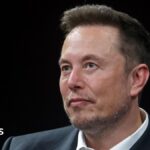 US backs Elon Musk's bid to overturn €120m EU fine against X