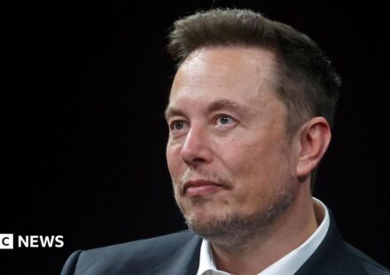 US backs Elon Musk's bid to overturn €120m EU fine against X