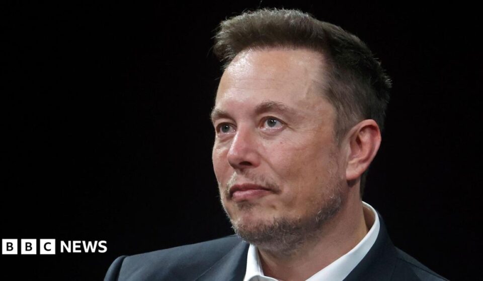US backs Elon Musk's bid to overturn €120m EU fine against X