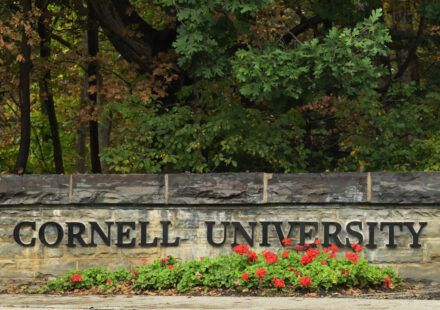 US prosecutors reopen Cornell university gang rape investigation