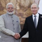 Ukraine war: What to make of Modi's plea to Putin to end conflict