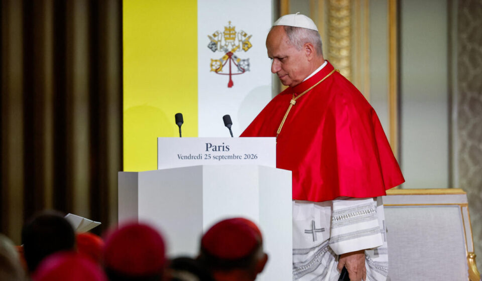 War, AI, secularism, surrogacy: what to take away from the Pope's speech
