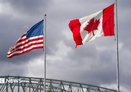 Watch: How much can Canada fight back in its trade war with the US?