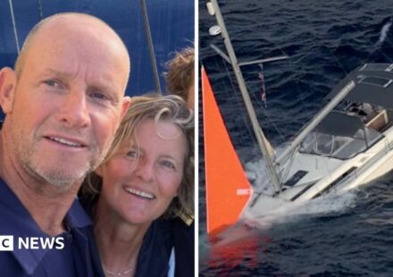 Watch: Sailor couple survives after whale destroyed their ship