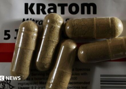 What is kratom, the 'gas station heroin' alarming officials in the US