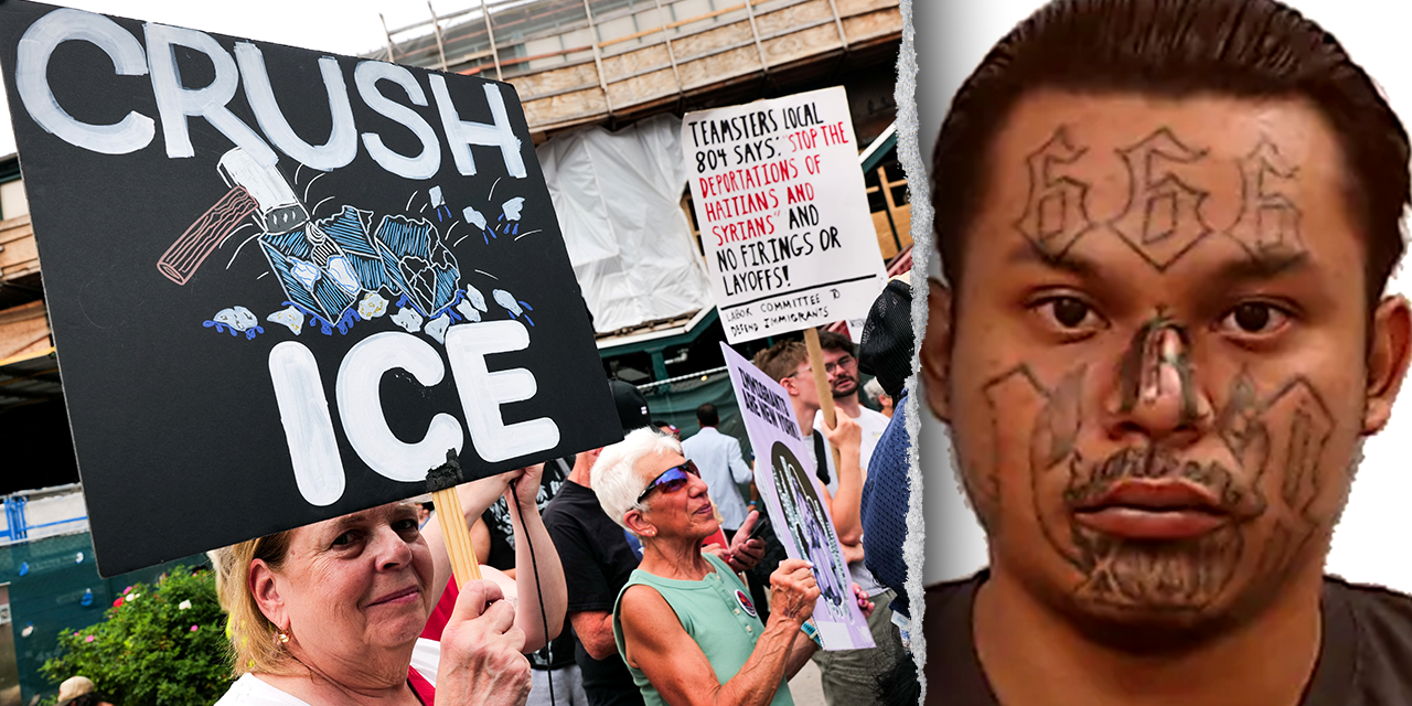 White House and DHS dispute noncriminal ICE arrest claims by media
