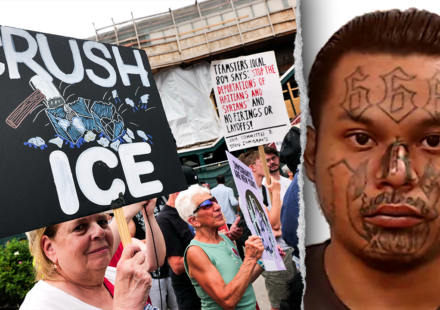 White House and DHS dispute noncriminal ICE arrest claims by media
