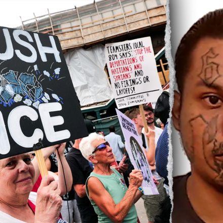 White House and DHS dispute noncriminal ICE arrest claims by media