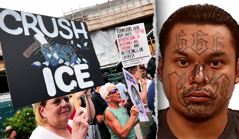 White House and DHS dispute noncriminal ICE arrest claims by media