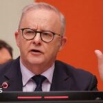 Why Australia chose the world's biggest political stage to reveal OpenAI hack