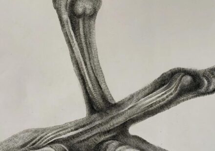 ‘Form, Line, and the Language of Sculpture’, de Roberto Estopiñán